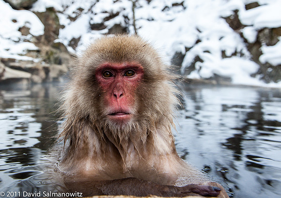 20110210_japan_0049