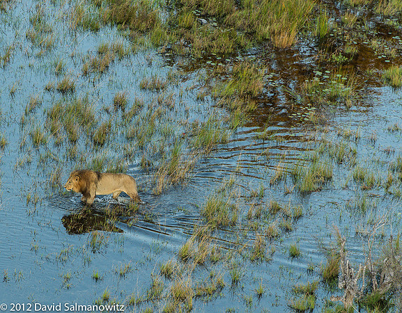 20120518_botswana_0070