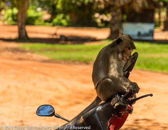 20130608_cambodia_0139