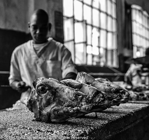 20130302_cuba_0038-Edit-4-Edit